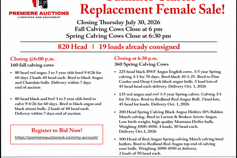 flyer for website